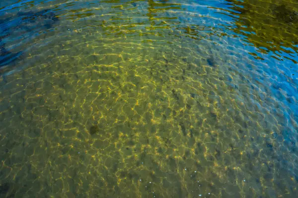 Şeffaf göl suyu, görünen kumlu tabanı ve güneş ışığı dalgaları var. Eko temaları ve rahatlama görselleri için barışçıl doğal arkaplan.