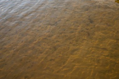 Güneş ışığı, temiz sığ sularda kumlu zeminde desenler oluşturur. Dalgalanmaların ve sualtı dokusunun doğal arka planı. Ekoloji, doğa, rahatlama veya su teması için ideal.