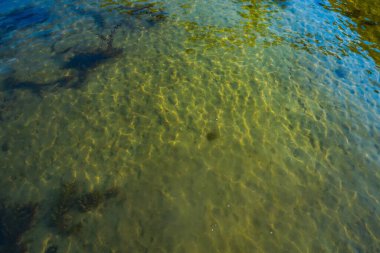 Güneş ışığı, temiz sığ sularda kumlu zeminde desenler oluşturur. Dalgalanmaların ve sualtı dokusunun doğal arka planı. Ekoloji, doğa, rahatlama veya su teması için ideal.
