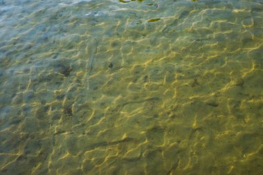 Güneş ışığı, temiz sığ sularda kumlu zeminde desenler oluşturur. Dalgalanmaların ve sualtı dokusunun doğal arka planı. Ekoloji, doğa, rahatlama veya su teması için ideal.