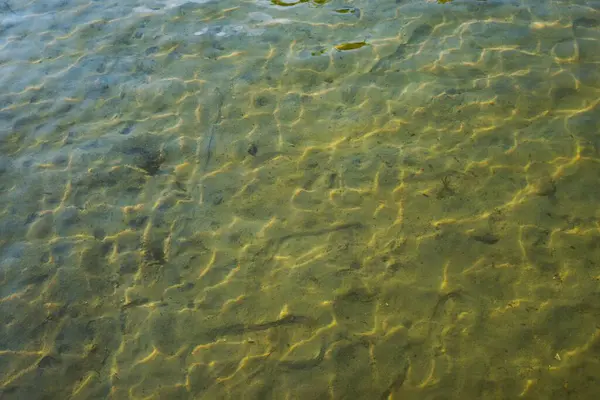 Güneş ışığı, temiz sığ sularda kumlu zeminde desenler oluşturur. Dalgalanmaların ve sualtı dokusunun doğal arka planı. Ekoloji, doğa, rahatlama veya su teması için ideal.
