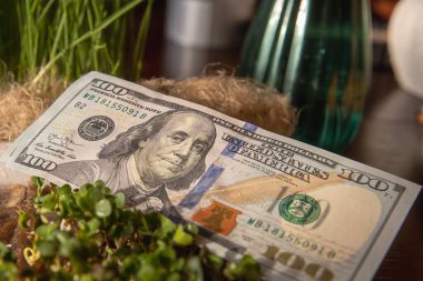 Topraktaki yeşil çimlerin arasına yerleştirilmiş 100 dolarlık banknotun yakın çekimi. Yaratıcı finansal yatırım kavramı, para büyümesi, zenginlik, pasif gelir ve eko ekonomi temaları.