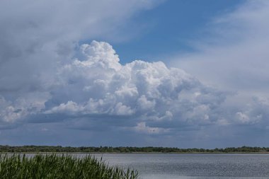 Yükselen kümülonimbus bulutlarının manzarası. Önünde uzun otlar olan huzurlu bir göl üzerinde şekilleniyor. Dramatik gökyüzü sakin su ve uzak yeşil ağaç çizgisiyle çelişiyor..