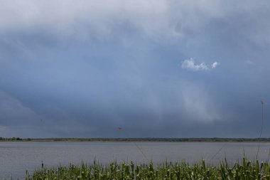 Yükselen kümülonimbus bulutlarının manzarası. Önünde uzun otlar olan huzurlu bir göl üzerinde şekilleniyor. Dramatik gökyüzü sakin su ve uzak yeşil ağaç çizgisiyle çelişiyor..