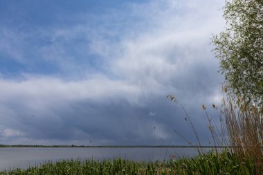 Yükselen kümülonimbus bulutlarının manzarası. Önünde uzun otlar olan huzurlu bir göl üzerinde şekilleniyor. Dramatik gökyüzü sakin su ve uzak yeşil ağaç çizgisiyle çelişiyor..