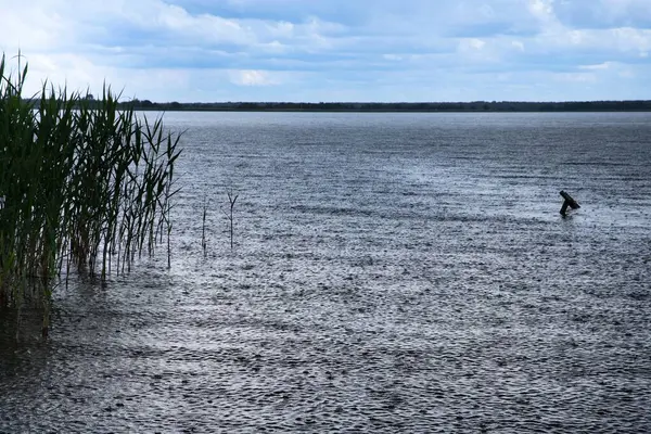 Yağmur yağmaya başlarken kara fırtına bulutları bir gölün üzerinde toplanıyor. Yeşil sazlıklar ve paslı bir iskele ön planda belirir, fırtınadan önce doğanın saf güzelliğini yakalar..