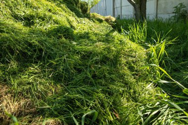 Arka bahçede yeni biçilmiş kocaman bir çim yığını. Çevre dostu bahçe atıkları geri dönüşümü, gübreleme veya gübreleme için ideal doğal tarım ve peyzaj.