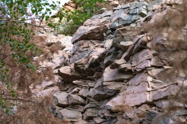 Yeşil ve kuru yapraklarla çevrili engebeli desenli ve açısal taşlı katmanlı kaya oluşumu. Doğal jeoloji ve vahşi doğa sahnesi arka plan ya da doğa temaları için mükemmel..