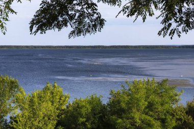 Mavi su, yeşil ağaçlar ve berrak gökyüzü ile sakin bir göl manzarası. Rahatlama ve seyahat temaları için huzurlu yaz doğa manzarası.