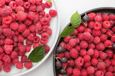Taze ahududu ve siyah üzümlü beyaz ve siyah tabakların yeşil yapraklı açık arkaplan manzarası. Diyet, tatlı ve baskı için sağlıklı organik yaz meyveleri..