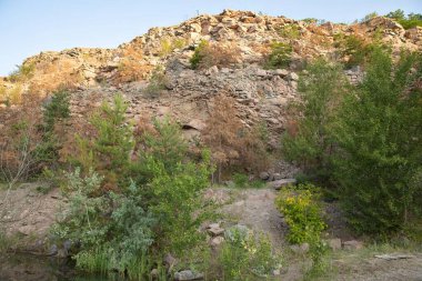 Yeşil ve kuru ağaçlı kayalık kayalık, sakin suyun yanında gün batımı ışığıyla aydınlatılıyor. Seyahat, yürüyüş ve doğa geçmişi için güzel doğal manzara..