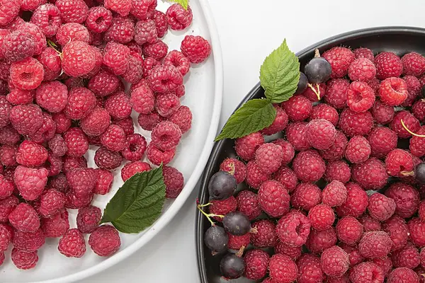 Taze ahududu ve siyah üzümlü beyaz ve siyah tabakların yeşil yapraklı açık arkaplan manzarası. Diyet, tatlı ve baskı için sağlıklı organik yaz meyveleri..