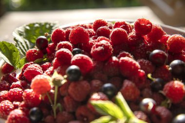 Taze olgun ahududu ve yeşil yapraklar kırsal ahşap masada beyaz bir tabakta. Yaz hasadı, sağlıklı yiyecekler, eko yaşam tarzı, mutfak dekorasyonu ve yemek fotoğrafçılığı konsepti..
