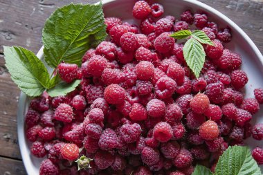 Taze ahududu ve yeşil yapraklar kırsal ahşap masa üzerinde beyaz bir kasede, üst manzara. Organik yaz hasadı, sağlıklı vejetaryen yiyecekler, eko yaşam tarzı ve antioksidan besin konsepti..