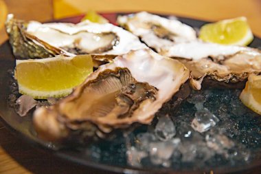 Ezilmiş buzun üzerinde limon dilimleri olan taze çiğ istiridye, yenmeye hazır gurme deniz ürünleri. Lüks yemekler, deniz ürünleri restoranı, sağlıklı deniz ürünleri konsepti, üst manzara..