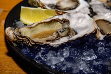 Limonlu taze istiridye ve ezilmiş buz, yakın plan gurme deniz ürünleri. Lüks yemekler, deniz ürünleri lokantası, sağlıklı deniz yemekleri ve mutfak fotoğrafçılığı..