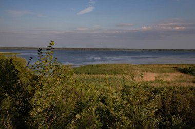 Geniş bir nehir, yeşil çayır ve bulutlu mavi bir gökyüzünün altında dağınık ağaçlarla huzurlu bir yaz manzarası. Doğa, sükunet ve açık hava rahatlığı kavramı.