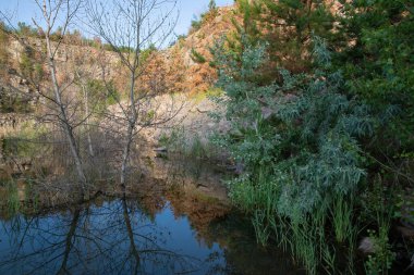 Çam ağaçlı kayalık güneşli bir bahar gününde masmavi bir gökyüzünün altında berrak bir göle yansıyor. Taş dokusu, su ve yeşillik ile doğa manzarası, arka plan ve seyahat temaları için idealdir.