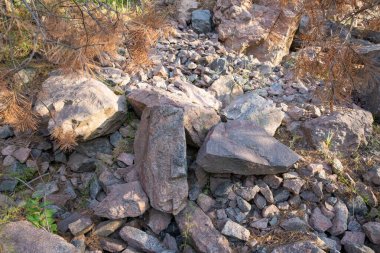 Güneşli bir günde, kayalık bir arazide büyük kahverengi ve gri taşlar. Kaba taş dokusu, küçük yeşil bitkiler ve kuru dallar ile doğal doğa sahnesi, jeoloji, doğa ve arka plan temaları için mükemmeldir..