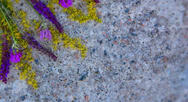 Sarı ve mor kır çiçekleri, fotokopi alanı ile beton bir arka planda düzenlenmiş. Doğa geçmişi, tasarımı ve yaratıcı projeler için minimum çiçek düzlüğü.