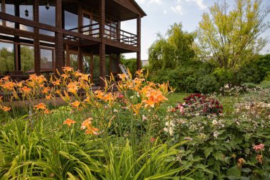 Geniş pencereli, modern ahşap bir evin yakınındaki canlı bir yaz bahçesinde çiçek açan turuncu zambaklar. Bahçe işleri ve ev dekorasyonu için güzel peyzaj, çiçekler ve yemyeşil alanlar..