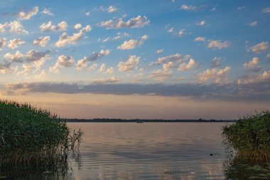 Güneş ışınları ve yeşil kamışların üzerindeki bulutlarla sakin bir gölün üzerinde gün batımı. Güzel akşam manzarası, doğa arka planı, huzurlu rahatlama sahnesi..