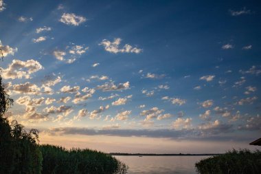 Yumuşak beyaz bulutları olan açık mavi bir gökyüzü ve sakin bir yaz gününde bir ağaç dalı. Rahatlama, seyahat, hava ve özgürlük temaları için doğal arkaplan.