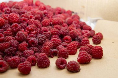 Kraft kağıdına serpilmiş taze kırmızı ahududular. Sağlıklı organik gıda kavramı, yaz hasadı ve çevre dostu ambalaj.