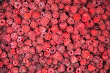 Taze olgun kırmızı ahududuların arka planı. Sağlıklı yiyecekler, organik pazar tasarımı, duvar kâğıdı ve yaz meyve reklamı için mükemmel..