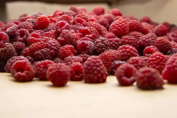 Kraft kağıdına serpilmiş taze kırmızı ahududular. Sağlıklı organik gıda kavramı, yaz hasadı ve çevre dostu ambalaj.