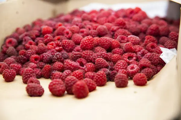 Sağlıklı Gıda ve Organik Pazar İçin Taze Olgun Ahududu Yakın plan