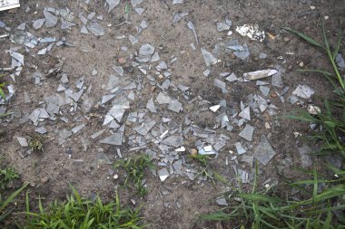 Yeşil çimlerle kaplı toprağa saçılmış kırık cam parçaları çevresel kirliliği, tehlikeyi ve atık sorunlarını gösteriyor. Kentsel çöp ve ekolojik sorunlar kavramı.
