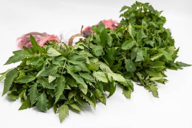 Beyaz bir arka planda plastik poşette bir tohum tohumu. Evde bahçıvanlık, tohum taşımacılığı ve sebze ekme kavramı.