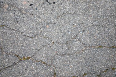 İçinde çatlaklar ve yeşil yosunların büyüdüğü eski asfalt yüzeyine yakın çekim. Kentsel bozulma, yaşlanma kaldırımı ve doğanın şehri geri alması. Dokular ve arkaplan kullanımı için ideal.