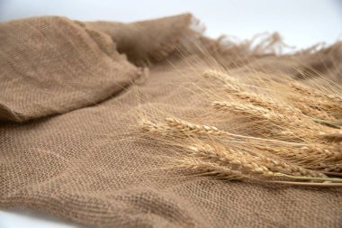  Elektrikli matkap ahşap çivi deliğinde pilot deliği oluşturuyor