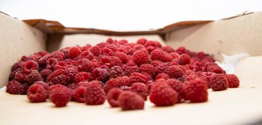 Çuval ve Yapraklı Kırsal Ahududu Kutusu