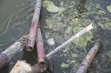 Midye ve alglerle kaplı paslı metal borular çürüyen bir balığın yanında bulanık göl suyunda yatar, kirliliği ve doğal biyoteknolojiyi ön plana çıkarır..