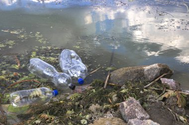 Üç boş plastik şişe, bir göl kıyısında yeşil algler ve enkazın ortasında yatıyor, su kirliliğini, çevre kirliliğini ve acil koruma ihtiyacını vurguluyor.