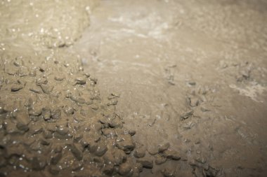 Islak betonun yakın plan birleşimi, kaba dokusunu ve kremsi tutarlılığını gözler önüne seriyor, inşaat ve endüstriyel arka planlar için ideal..