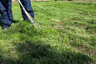 İnsan güneşli bir çimenlikte taze kesilmiş çimenleri tırmıklıyor. Bacakları ve metal tırmıkları yakından görebiliyoruz. Bahçe bakımı, bahçe temizliği ve mevsimlik bakım teması.