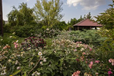 Canlı turuncu zambaklar ve karışık çiçekli bitkiler ahşap bir evin önündeki yemyeşil bir bahçe yatağını ve yumuşak doğal ışık altındaki çardağı doldurur.