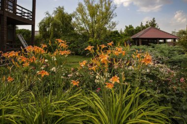 Kırsal iki katlı ahşap bir ev, geniş pencereli, canlı bir portakal bahçesi ve yumuşak doğal ışık altında çiçek veren bitkiler..