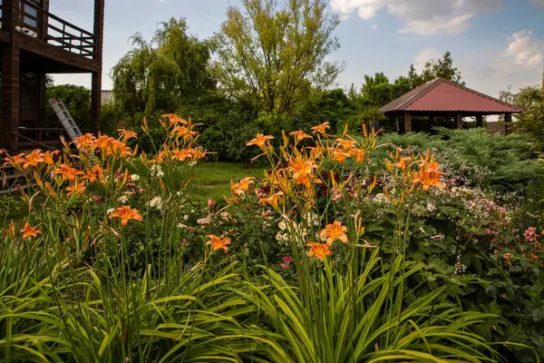Kırsal iki katlı ahşap bir ev, geniş pencereli, canlı bir portakal bahçesi ve yumuşak doğal ışık altında çiçek veren bitkiler..