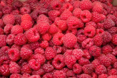 Ahududu taze kırmızı organik olgun böğürtlen doğal sağlıklı meyve hasadı eko tarım vitaminlerini kaplar.