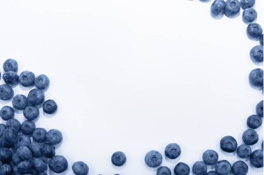 Böğürtlenler beyaz bir arkaplan üzerinde çerçeve olarak düzenlenmiştir. Tasarım ve beslenme kavramları için sağlıklı organik meyveler kopyalanmıştır.