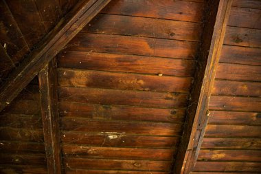 Eski, karanlık ahşap tavan örümcek ağları ve tozla kaplı, ürkütücü bir atmosfer yaratıyor. Cadılar Bayramı, korku, perili ev ve gizem temaları için mükemmel bir geçmiş..