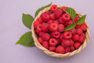 Leylak kaplamalı taze ahududu dolu sepetin yanına. Yaz meyveleri, sağlıklı beslenme ve organik gıda kavramı.