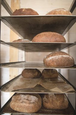 Fırının iç tarafındaki sıcak aydınlatma ve kırsal tarzda çeşitli somunlar metal raflarda soğutuluyor.