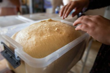 İnsan eliyle plastik bir kabın içinde hamur mayası. Mutfakta ev yapımı ekmek ya da hamur işi pişirmeye hazırlanıyor.