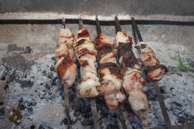 Mangal pikniği ve yaz yemeği temaları için mükemmel ızgara kömürlü soğan dilimli domuz şiş şiş.